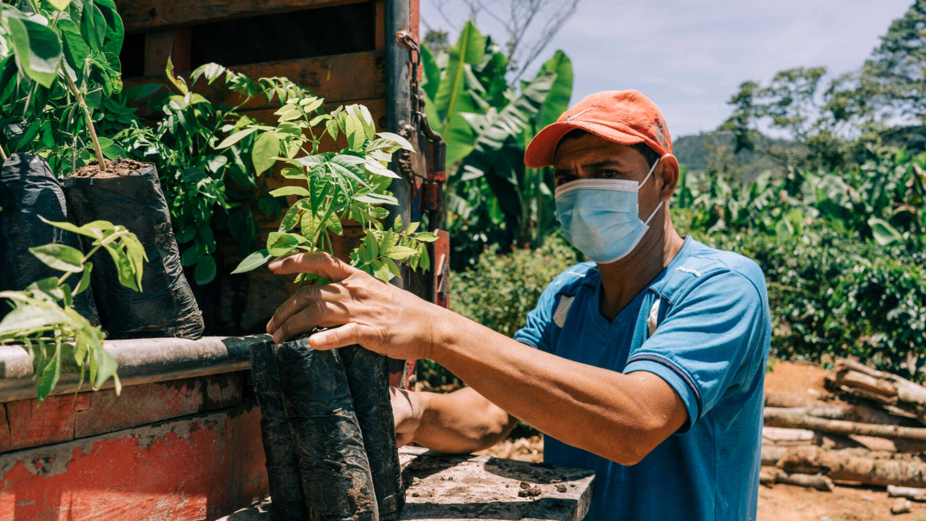 HN_Reforestation_DitributingTrees_1200x900 / ED&F Man Commodities