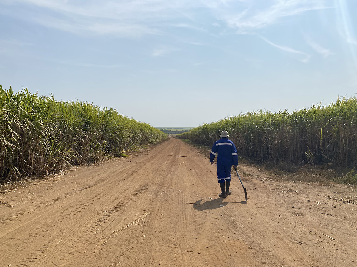 Sugar Eswatini / ED&F Man Commodities