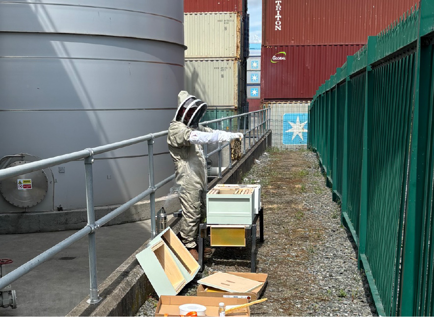 MLPIrl_Beehives_884